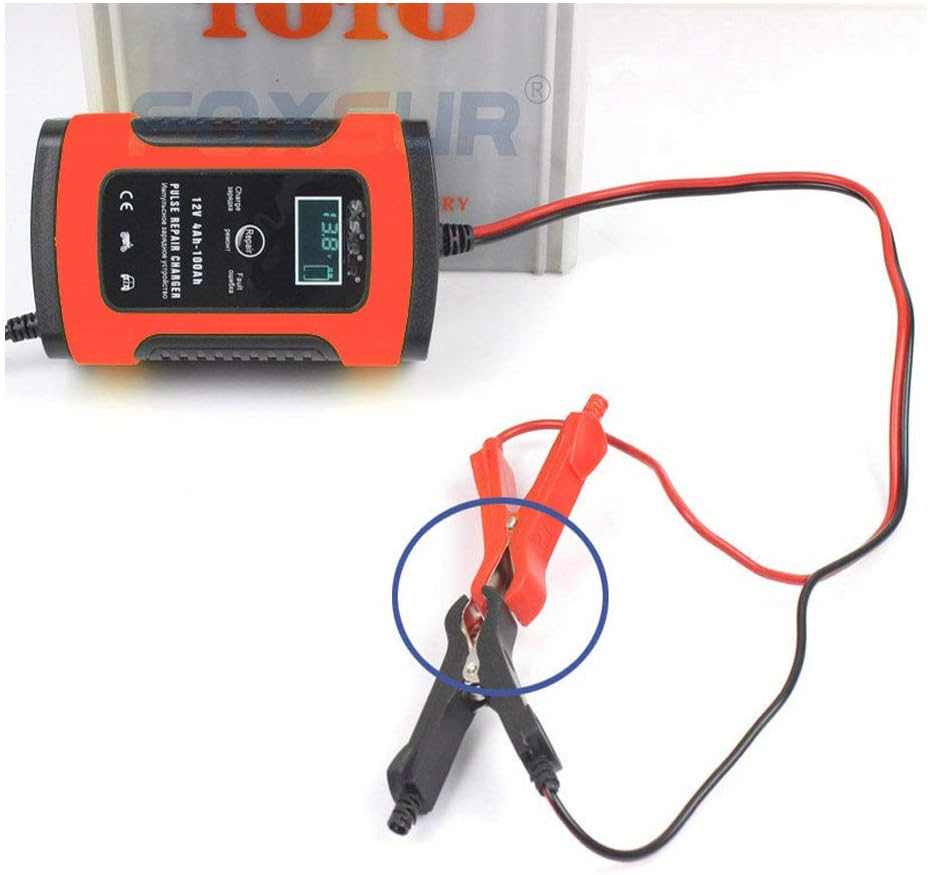  Cargador Bateria Coche Buddygo 12V 4-100Ah