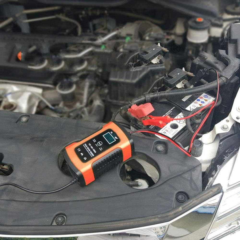  Cargador Bateria Coche Buddygo 12V 4-100Ah