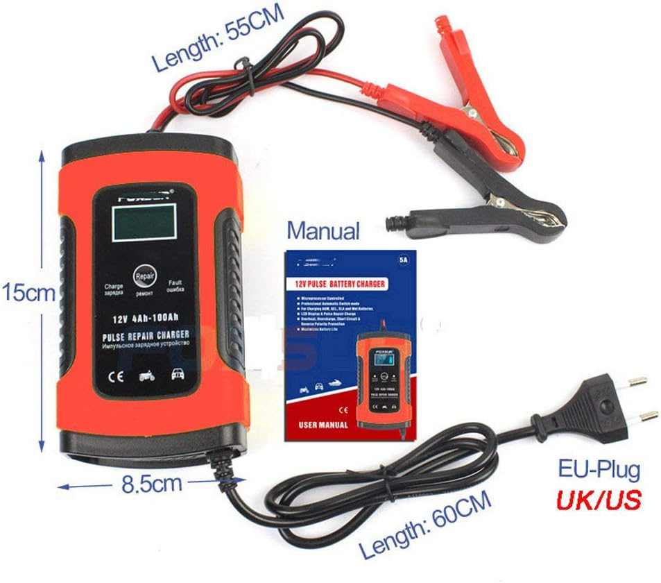  Cargador Bateria Coche Buddygo 12V 4-100Ah